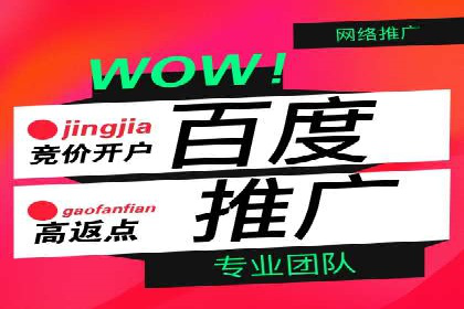 某某sem代运营公司：精准投放的背后策略